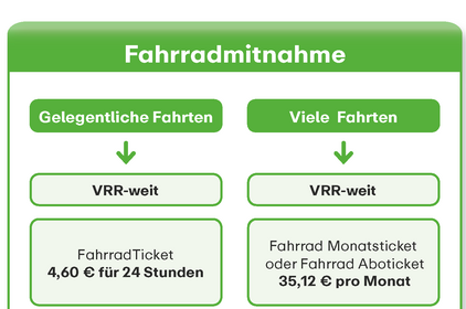 Fahrradmitnahme DT Upgrade